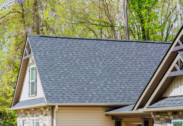Best Solar Panel Roofing Installation  in Enon, VA