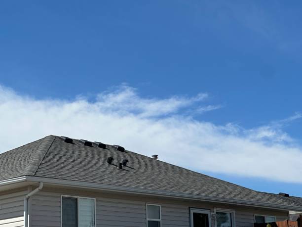 Best Roof Moss and Algae Removal  in Enon, VA